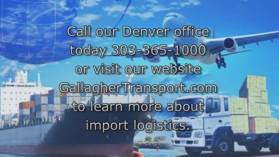 ⁣Import Logistics Custom Terms