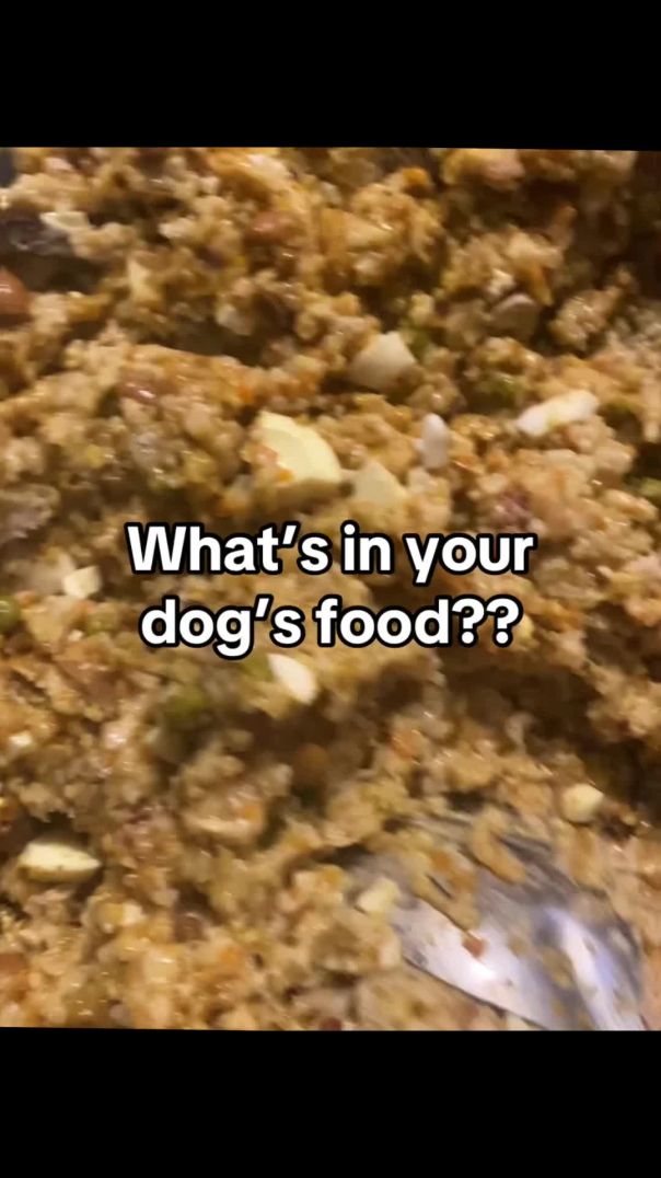 What’s in your dog’s food??