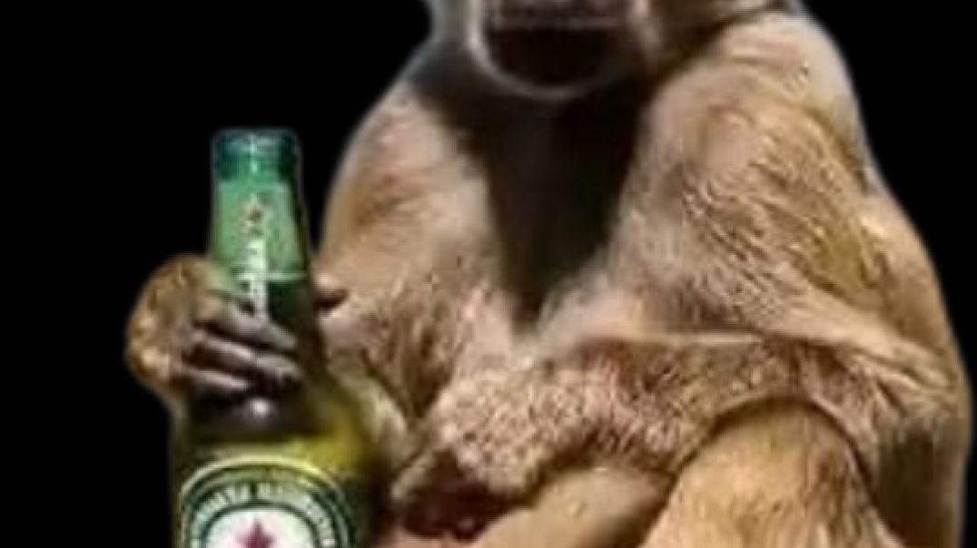 ⁣Baboon Rock Band