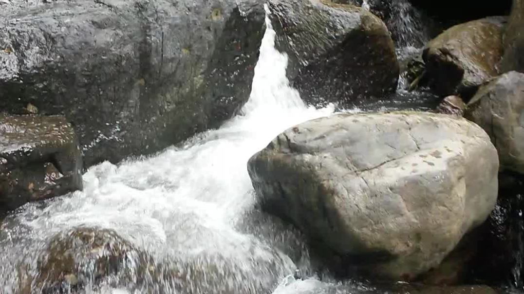 Hope river Jamaica