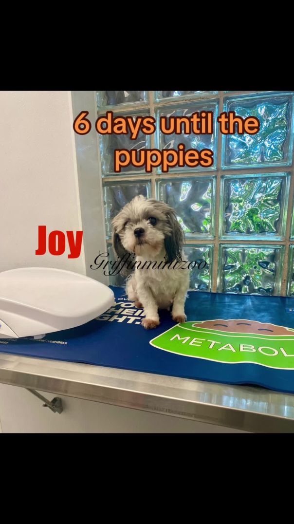 Six days to go!!!