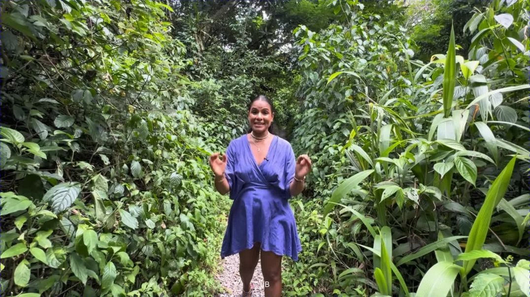 ⁣Tour of My 2-Bedroom Off-Grid Cabin  in Jamaica 🇯🇲 Built in 3 Months