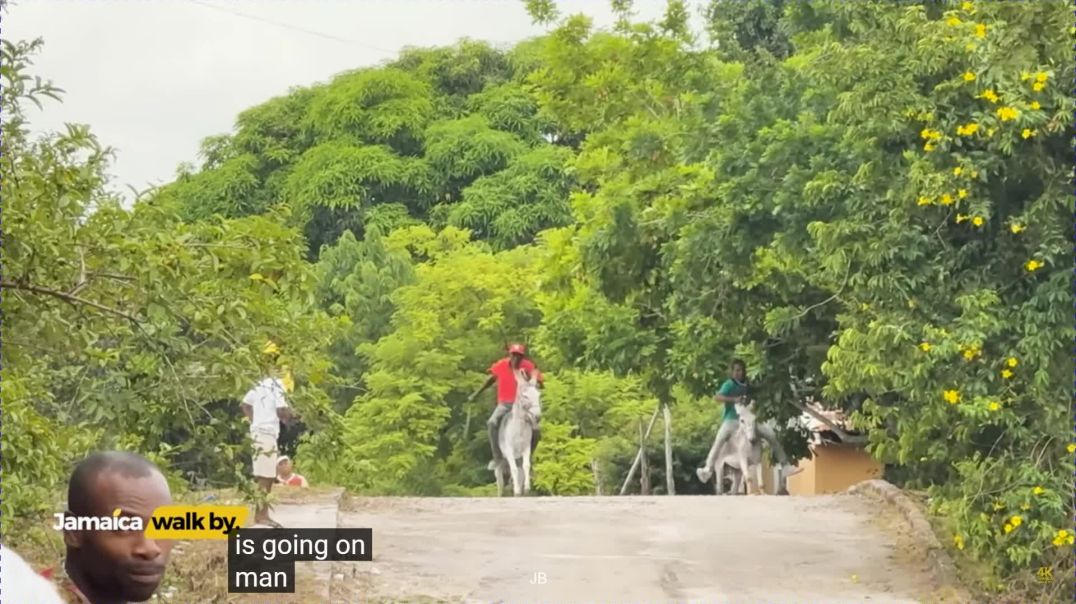 ⁣✓🇯🇲 Donkey Carnival in Jamaica 2025 🐴 Full Walking Tour  Crofts Hill Clarendon