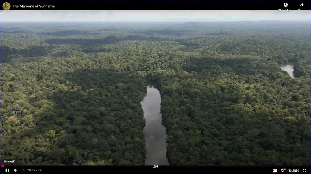 ⁣THE JUNGLE KING OF SURINAM HISTORY