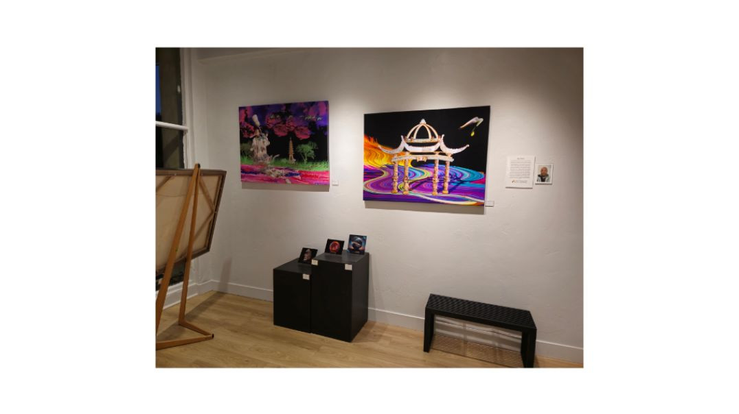 Sanislaus art Council Exhibition 12