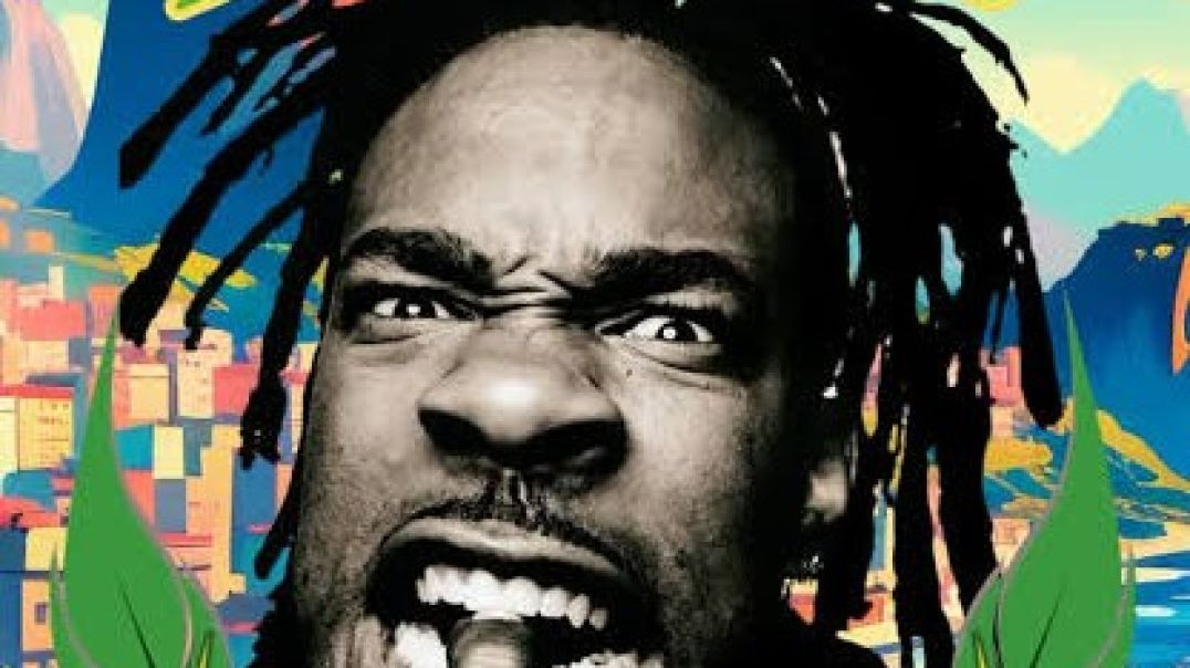 ⁣Busta Rhymes ‎- Woo-Hah!! Got You All In Check (Official Video) [Explicit]