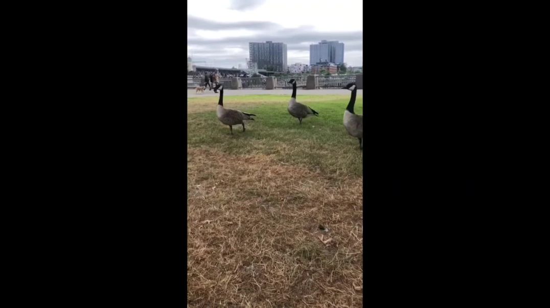 ⁣AM MESSAGE FOR GHANA