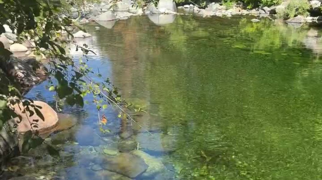 ⁣CELLPH LOVE+ CARE