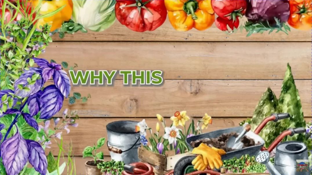 ⁣Inside Bill Gates' Multi-Billion Dollar Farm