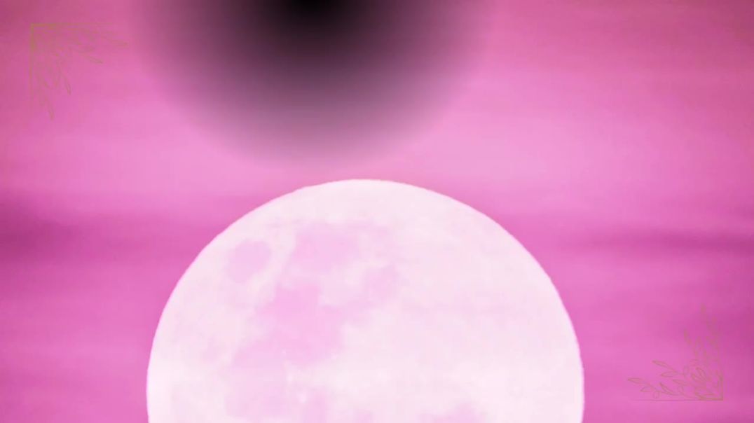 ⁣DAME DASH AGAINST THE WORLD PT 2