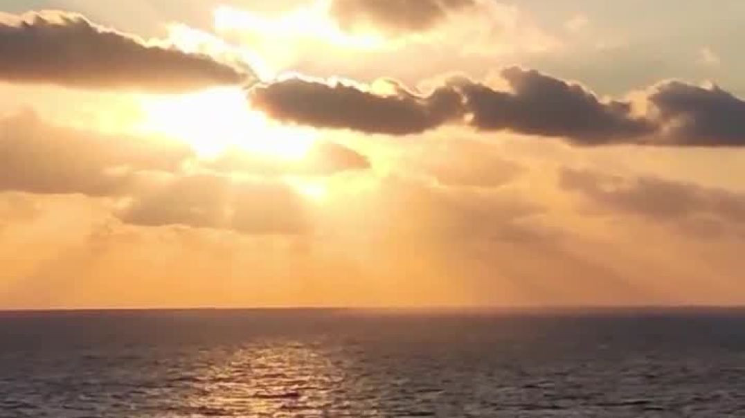 ⁣Trust & Obey Praise & Worship Version