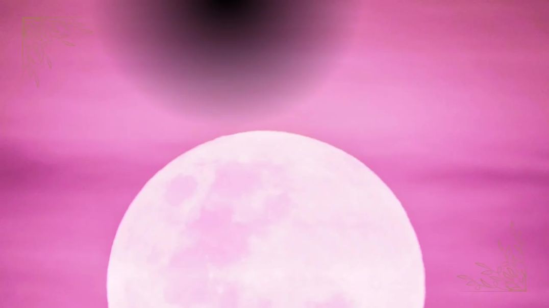 DAME DASH AGAINST THE WORLD PT 1