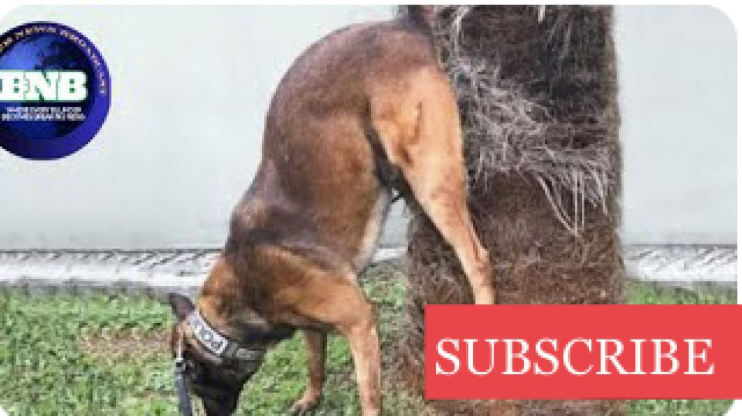 ⁣FUNNIEST VIDEOS (try not to laugh) EP1