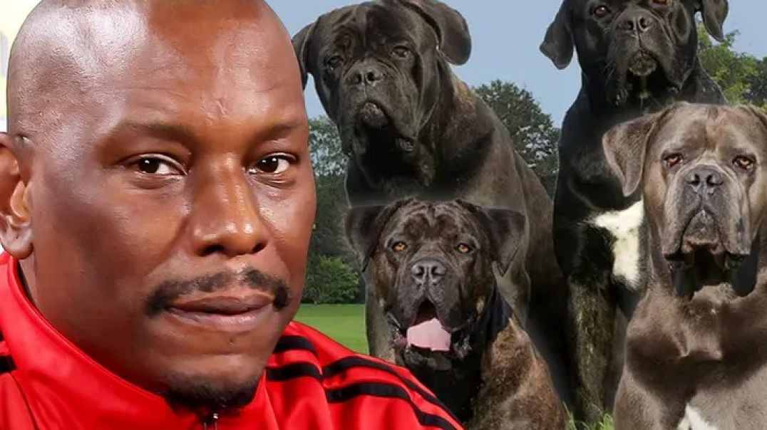 ⁣Tyrese Gibson’s dogs killed neighbor’s dog in Atlanta, police say