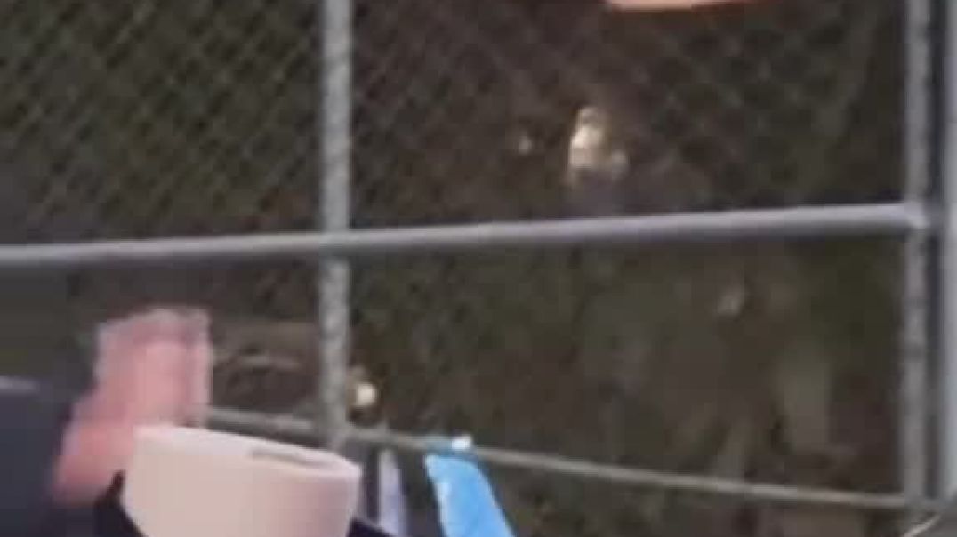 ⁣Get Smarter with PrimeXBT — Grab a $100 Bonus using my link When You Start Today! | Crypto, Forex &a