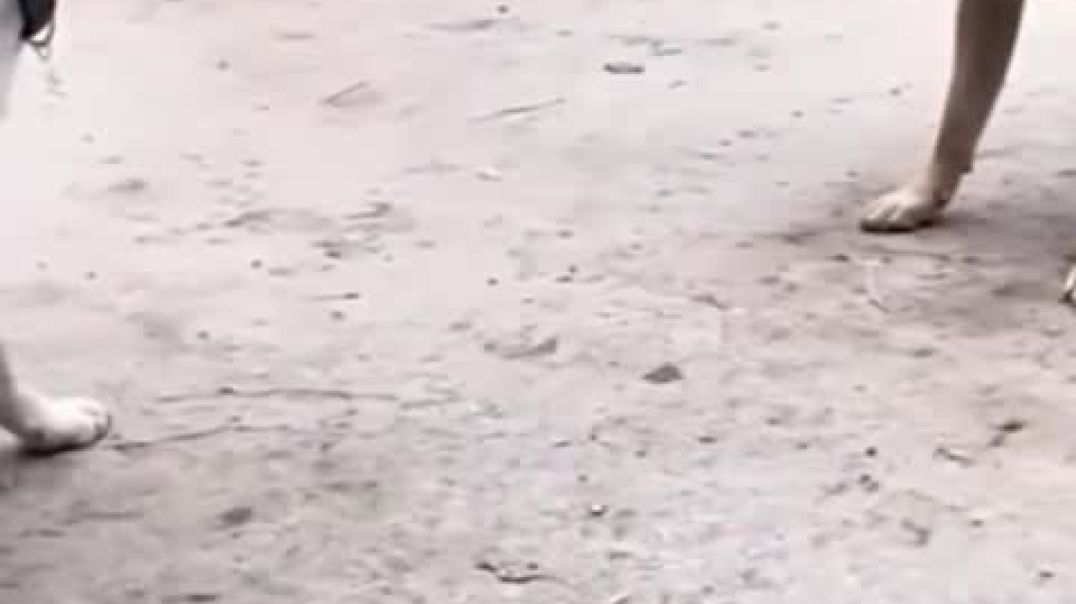 ⁣Makers & Movers: Get Started on PrimeXBT + $100 Bonus When You Use My Link!https://tinyurl.com/3