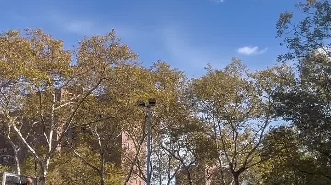 ⁣Attempting Darius Garland’s INSANE Logo buzzer beater!