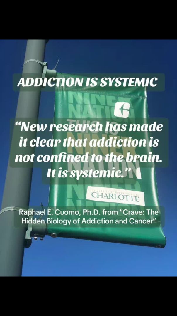ADDICTION IS SYSTEMIC