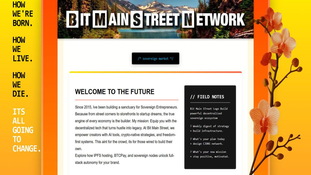 ⁣Bit Main Street Network