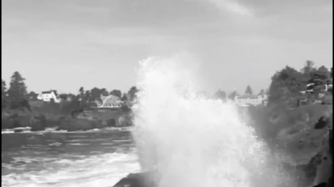 ⁣THE NATURE OF THE AFRICAN