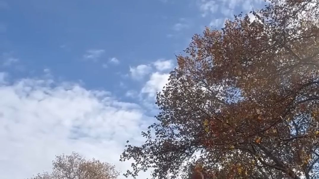 Attempting Julius Randle's ICONIC Stepback Buzzer Beater!