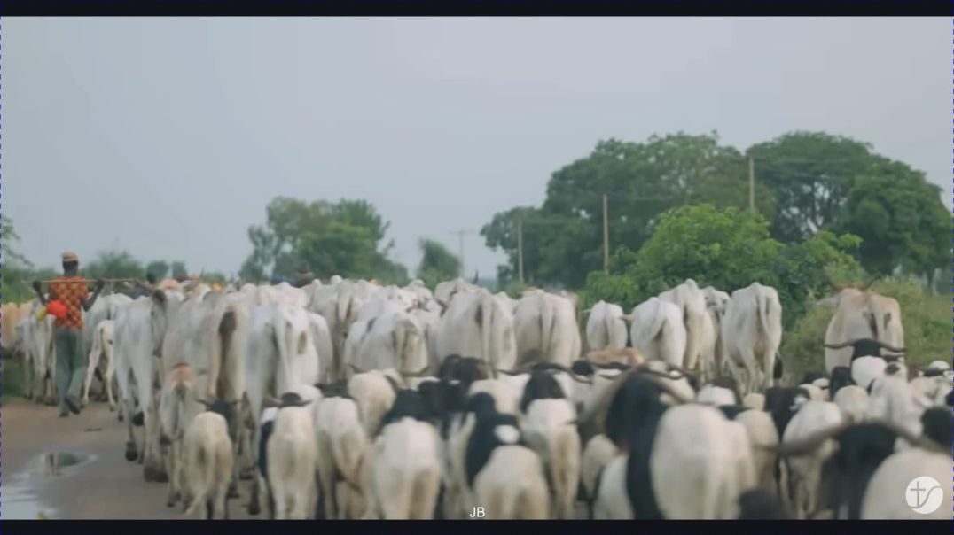 ⁣Faith in the Fire - Christian persecution