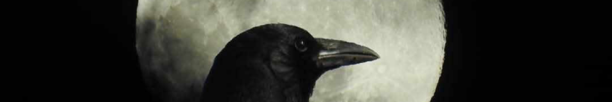 Billy Blass