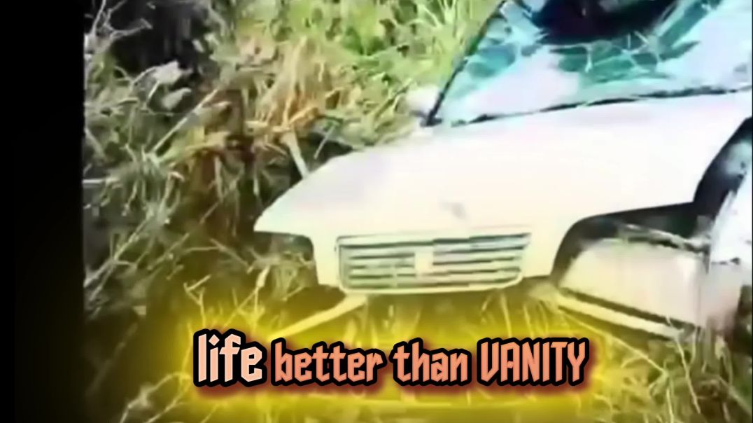 🔥 Silk Boss – CATEGORY 5