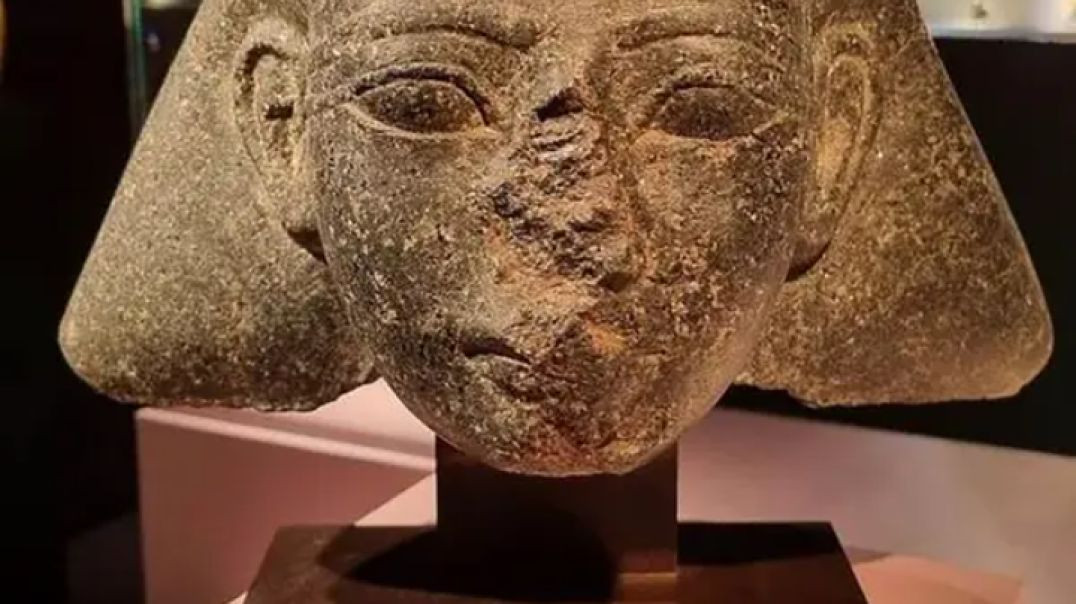 ⁣Theorem way of LIFE!  Nature/Science, Ancestors and Phylosophy!!