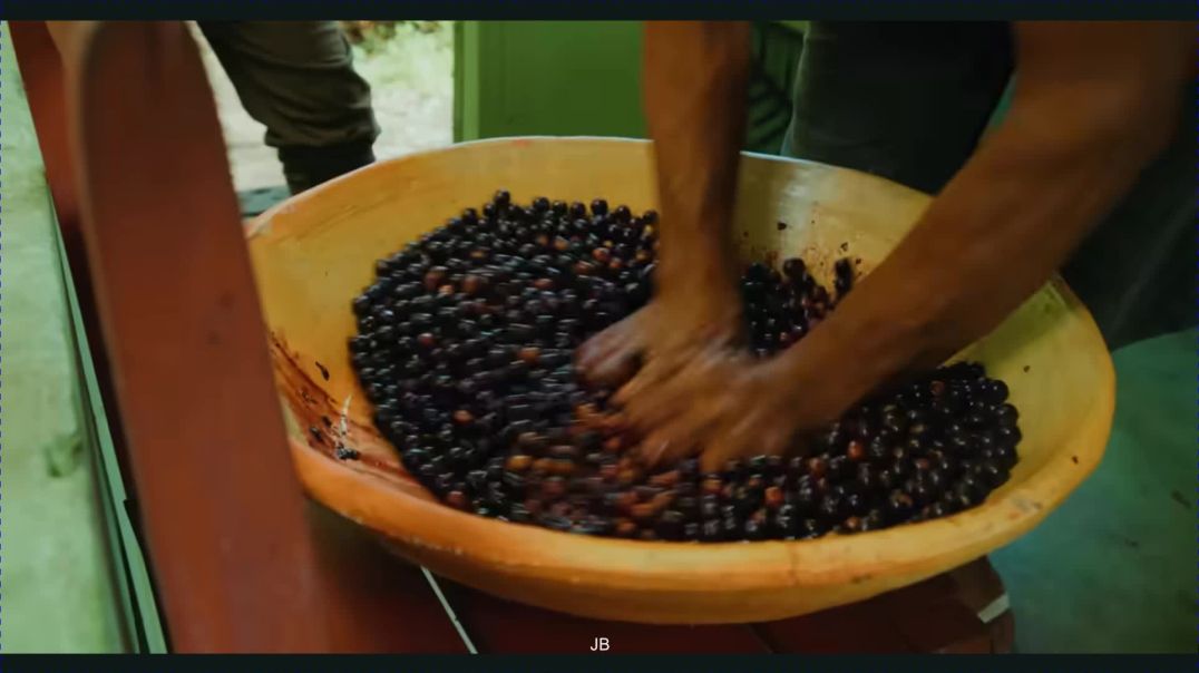 ⁣Unseen SUPERFOOD in Amazon Jungle - in Belém, Brazil 🇧🇷