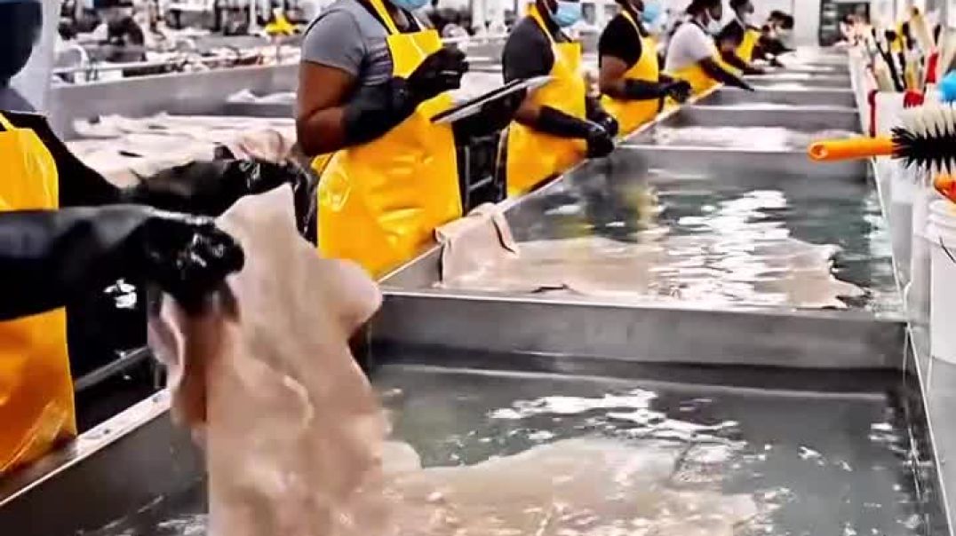 ⁣Looking 4 real giveaways, & global free offers?