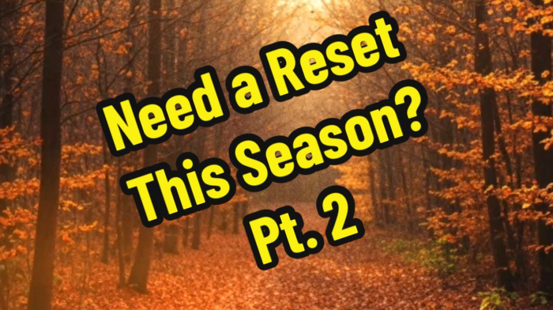 ⁣Part 2: Healing in Stillness