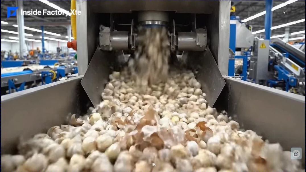 ⁣Giant US Garlic Factory Exposed
