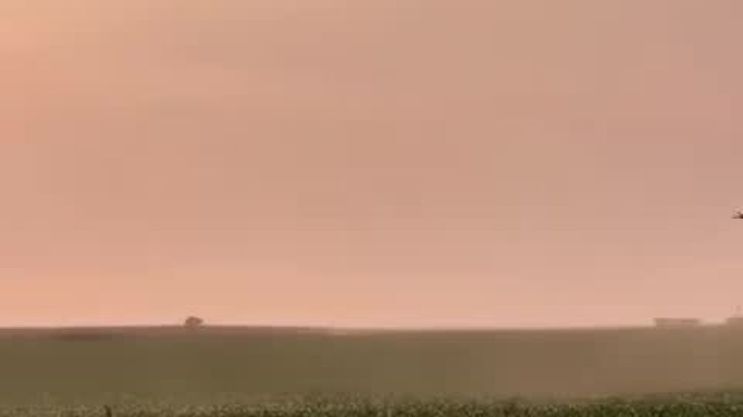 ⁣Black-owned canned goods!