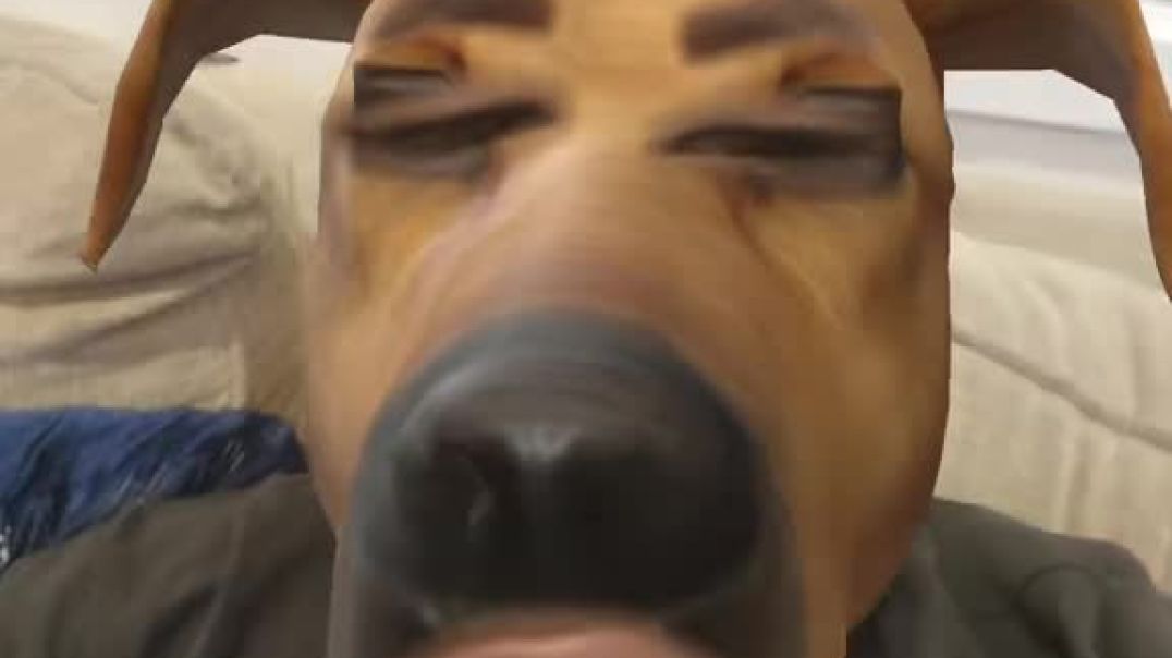 ⁣when my  brother  do the badhoodtrap