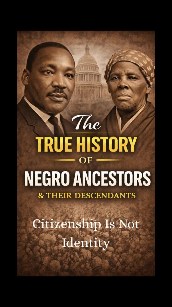 Citizenship Is Not Identity