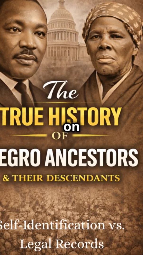 Self-Identification - Legal Records Why Words Matter in History