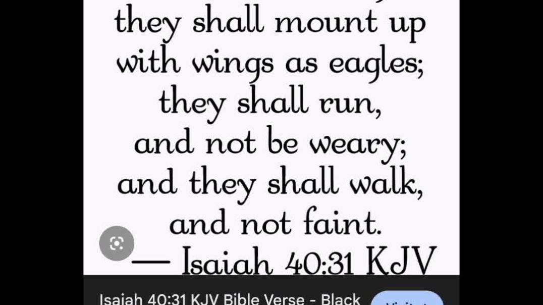 InShot_20260215_151914087