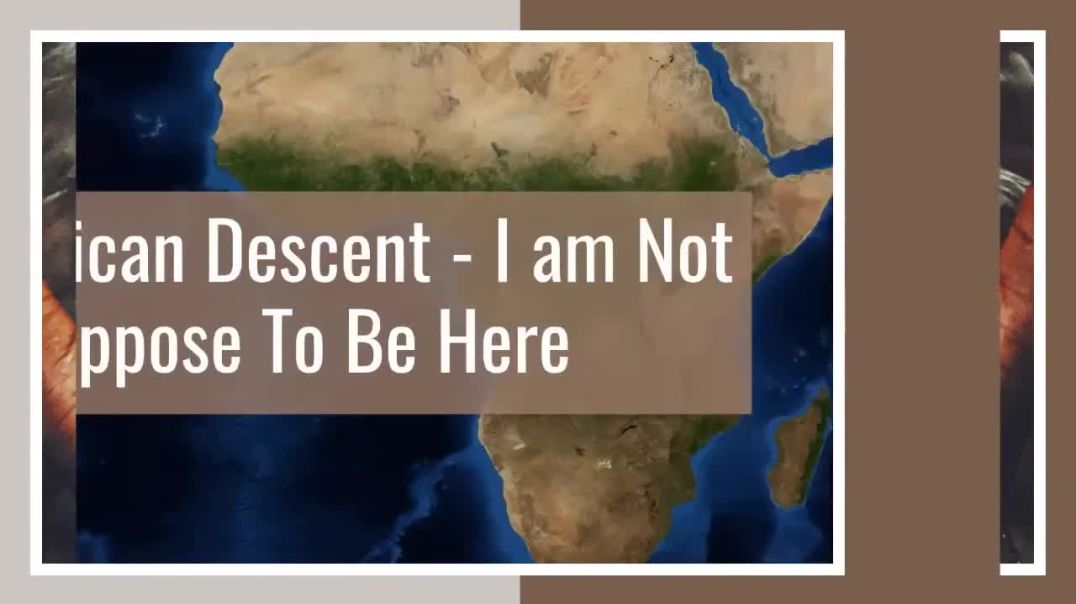 ⁣My DNA Results: Tracing My Family Tree Bloodline