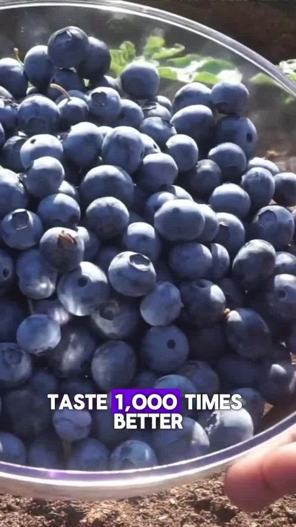 The Prolific Familystead 🔥✊🏾