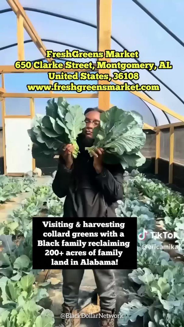 ✊🏾🖤🚜🌾🌱🌽🍅🔥