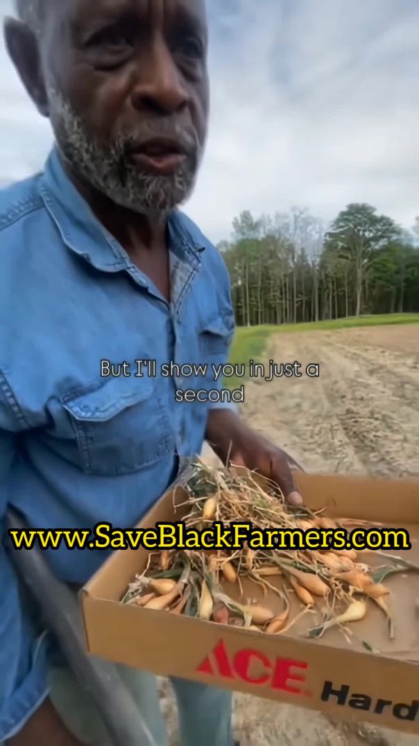 🚜🌽🧺🥔🌱🌿🌾🍅