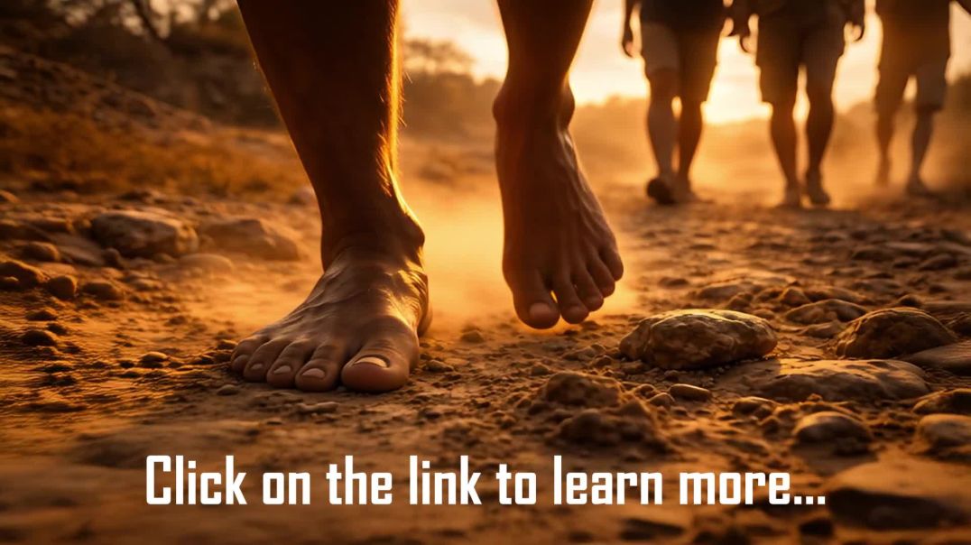 African roots -reconnecting with the motherland