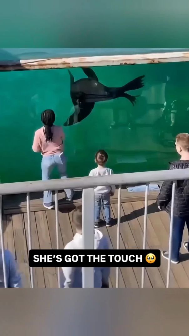BLACK GIRL MAGIC!!!! 🥰🙏🏾✊🏾💪🏾🖤