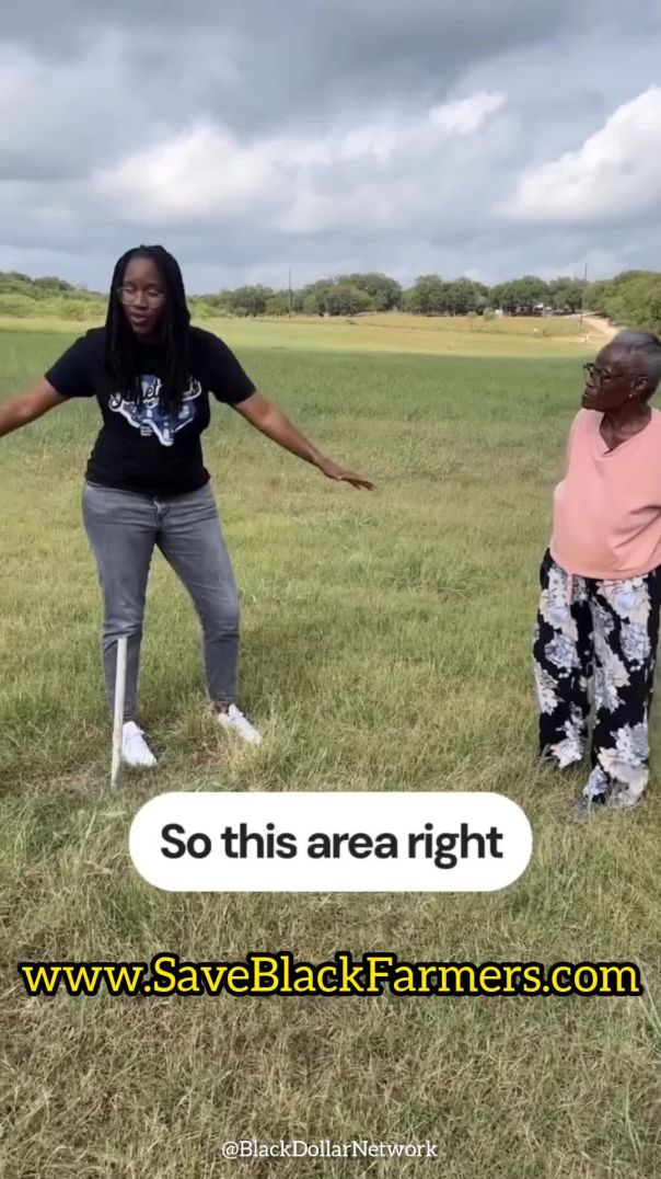 🌽🍅🌳🚜🧺✊🏾🖤