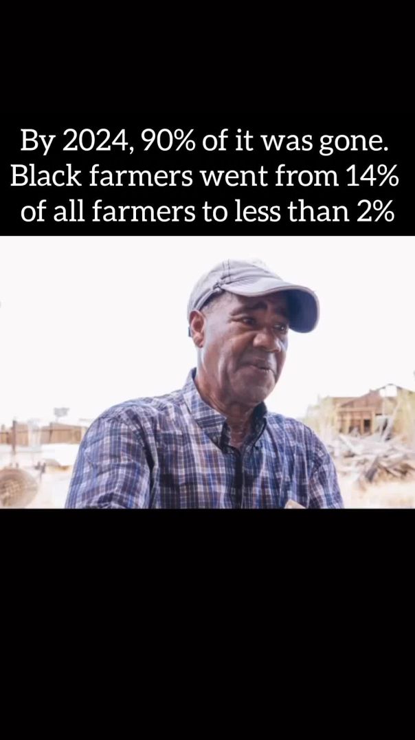 www.SaveBlackFarmers.com