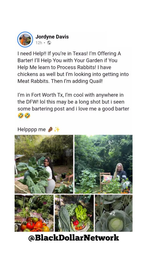 🚜🌽🍅🥔🌾🌱✊🏾🖤