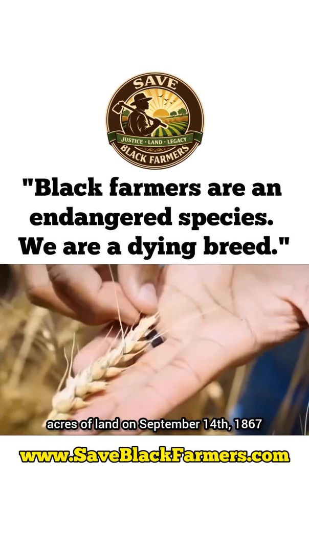 ✊🏾🚜🌾🌱🌽🍅🖤