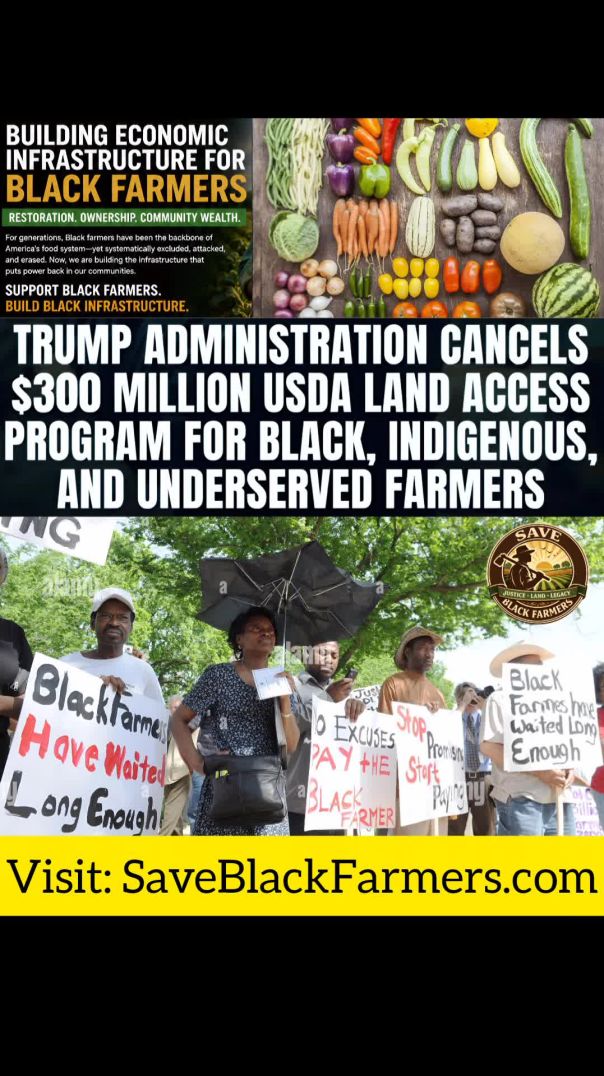 ✊🏾🚜🌽🐄🐖🐓🐔🧺🖤