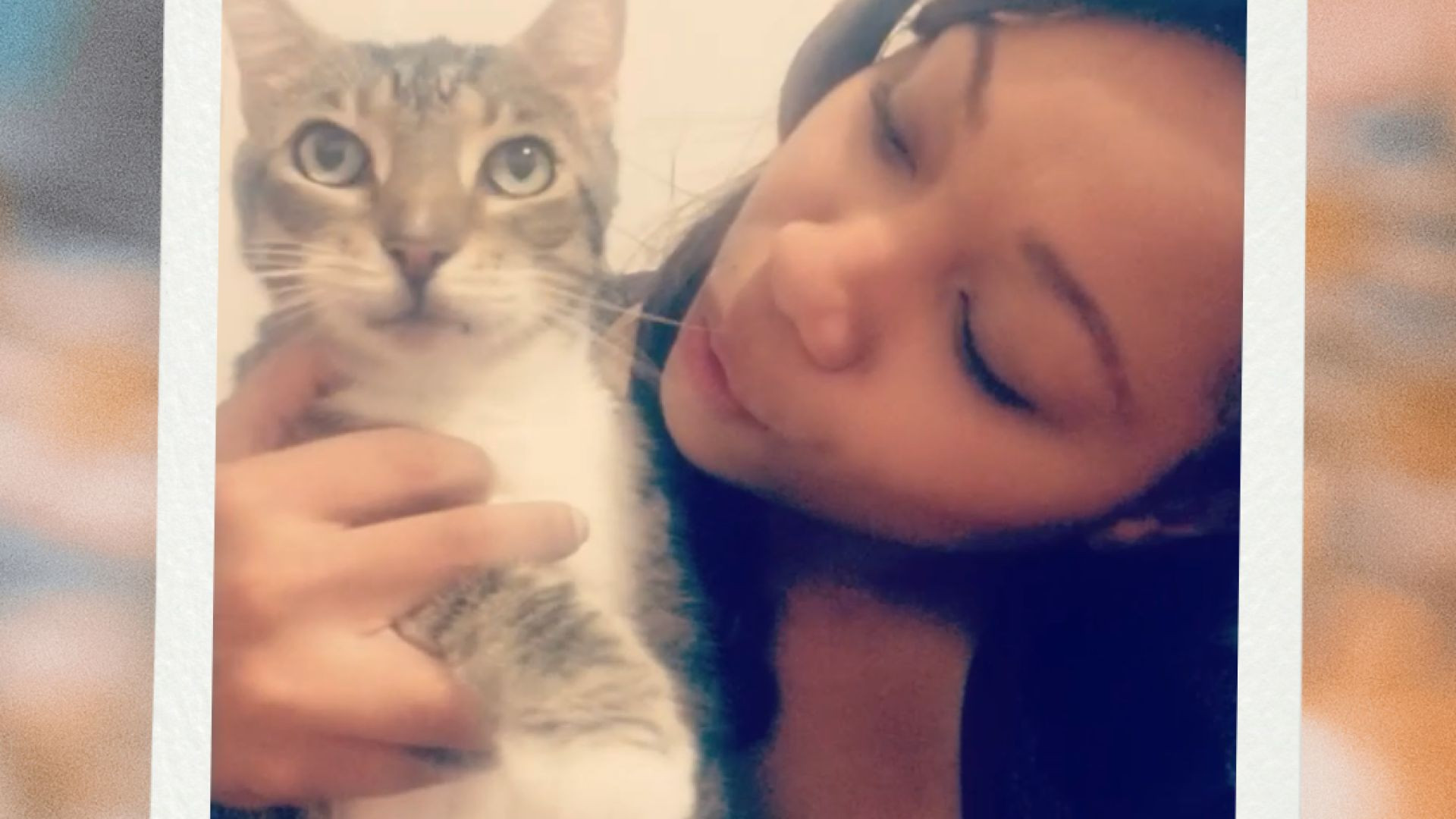 My Cat, Lucky